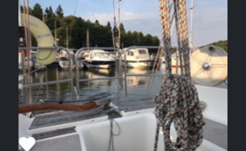 Finngulf Seaking-kuva-1